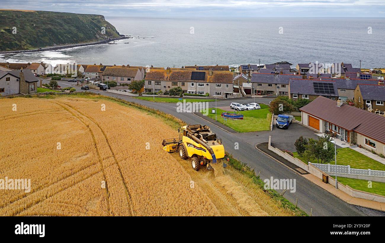 Combinez Harvester Gardenstown Aberdeenshire Écosse les maisons du village et une moissonneuse à la fin de l'été Moray Firth au loin Banque D'Images