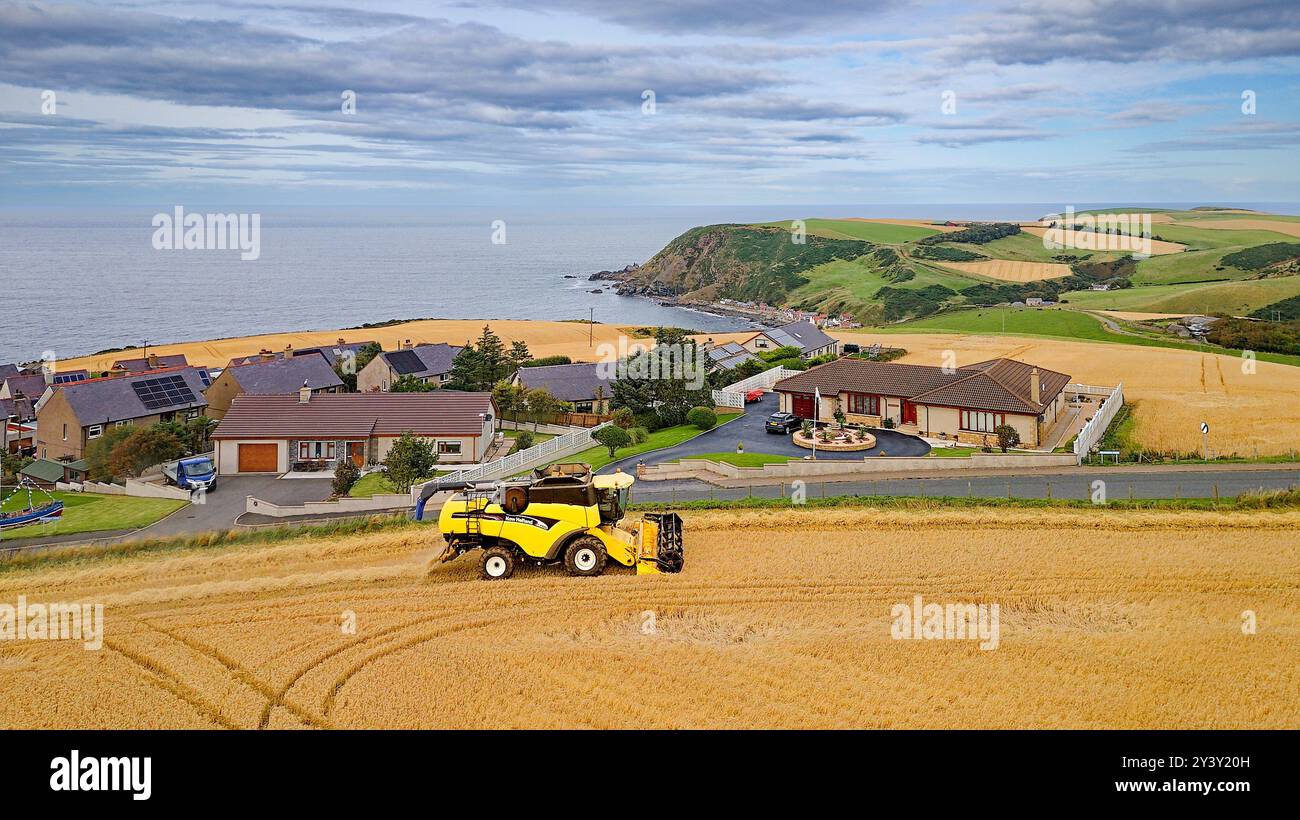 Combinez Harvester Gardenstown Aberdeenshire Écosse les maisons du village et une moissonneuse dans le champ fin d'été Crovie dans la distance Banque D'Images