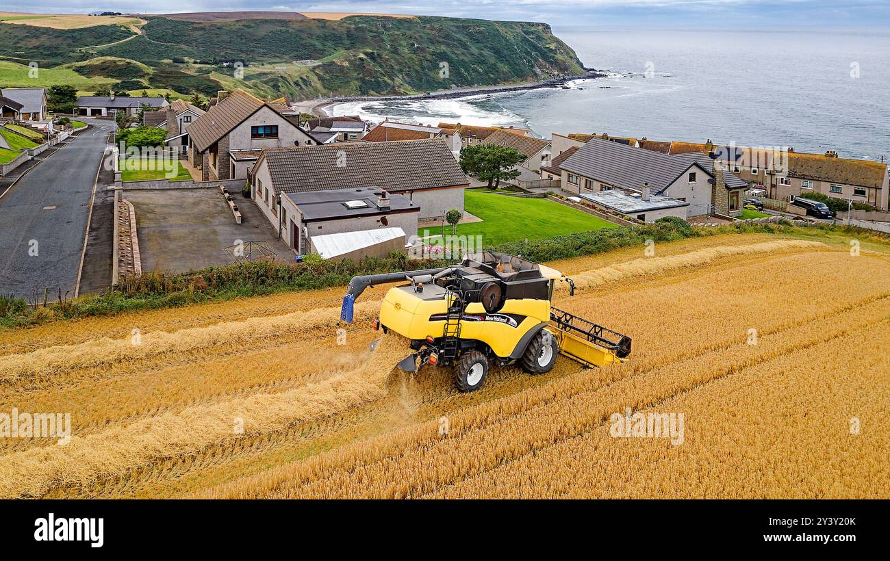 Combinez Harvester Gardenstown Aberdeenshire Écosse les maisons du village et une moissonneuse dans le champ fin d'été Moray Firth au loin Banque D'Images