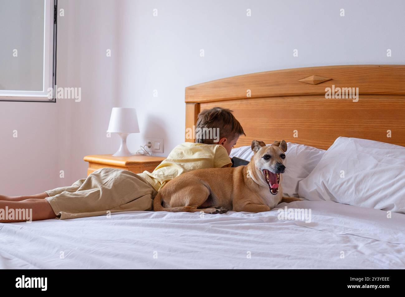 Garçon allongé dans son lit regardant son téléphone portable en compagnie de son chien bâillant Banque D'Images
