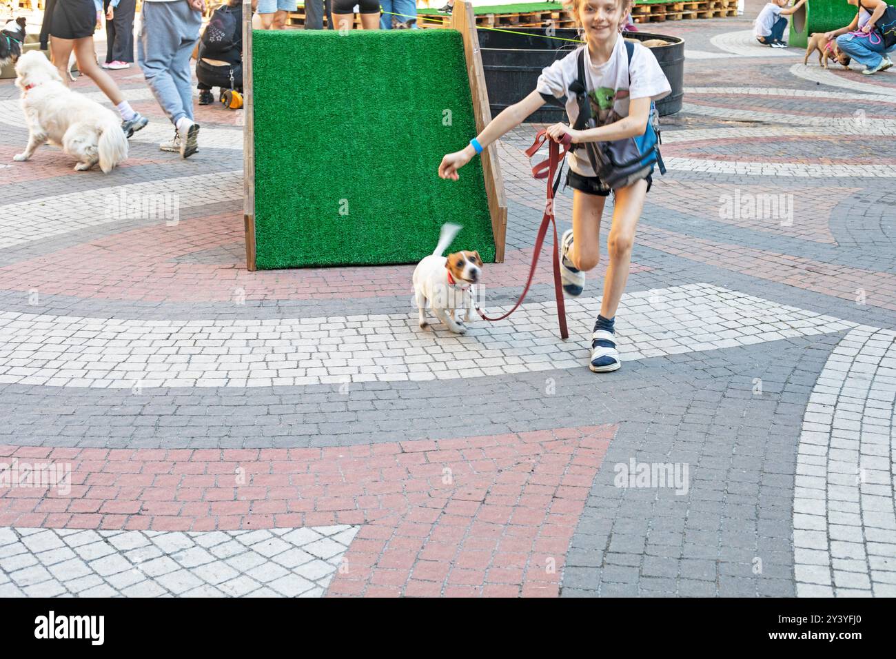 Happy Girl forme un chiot Jack Russell Terrier adulte sur un terrain d'entraînement par une journée ensoleillée. Agilité Banque D'Images