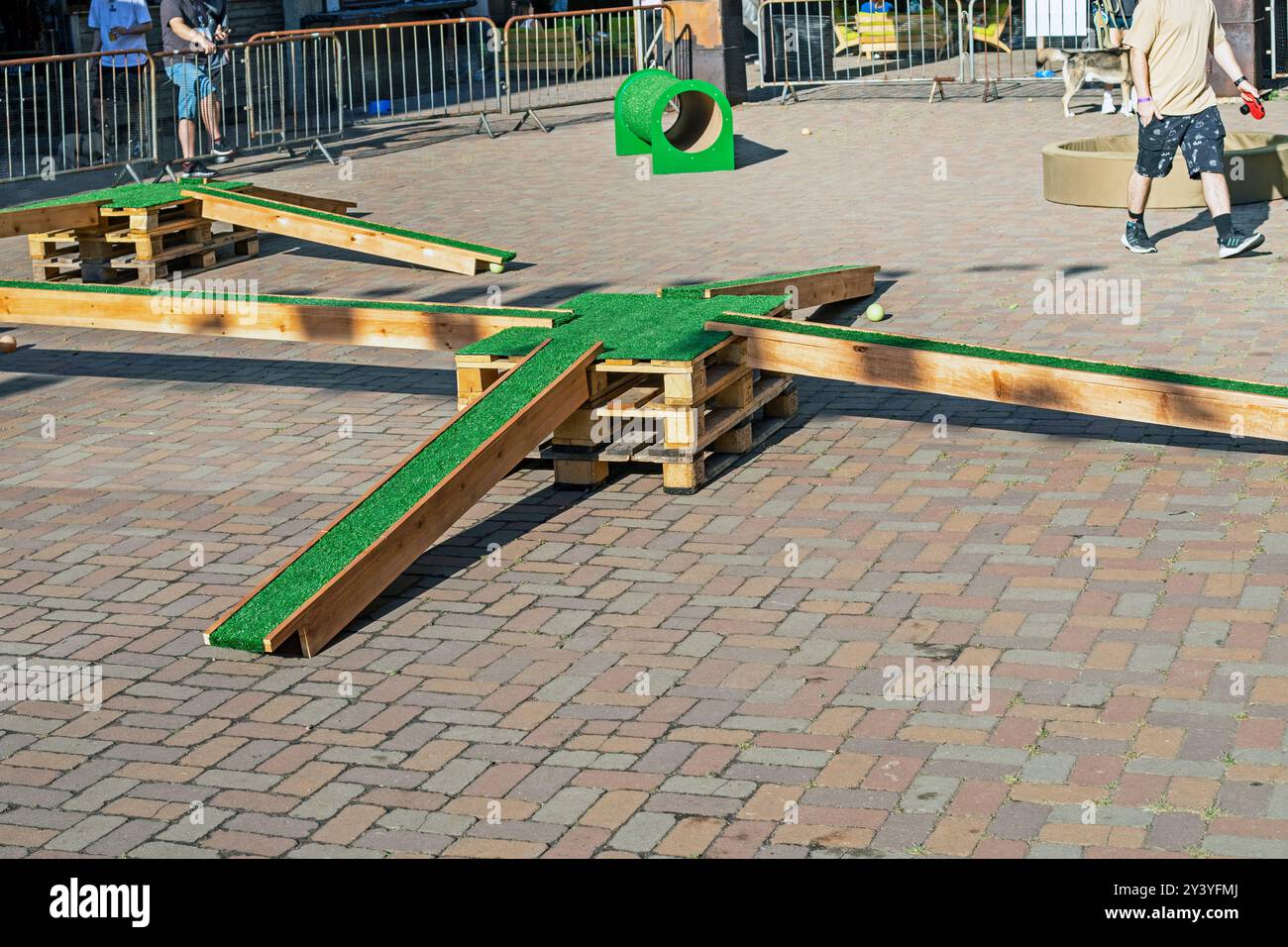 terrain de sport pour chiens pour effectuer des exercices et des commandes. Cynologie et agilité Banque D'Images