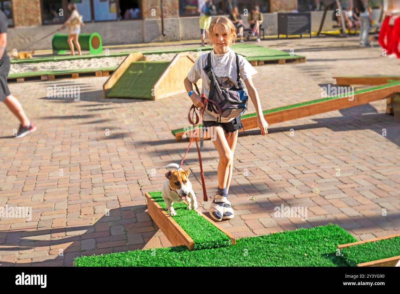 Happy Girl forme un chiot Jack Russell Terrier adulte sur un terrain d'entraînement par une journée ensoleillée. Agilité Banque D'Images