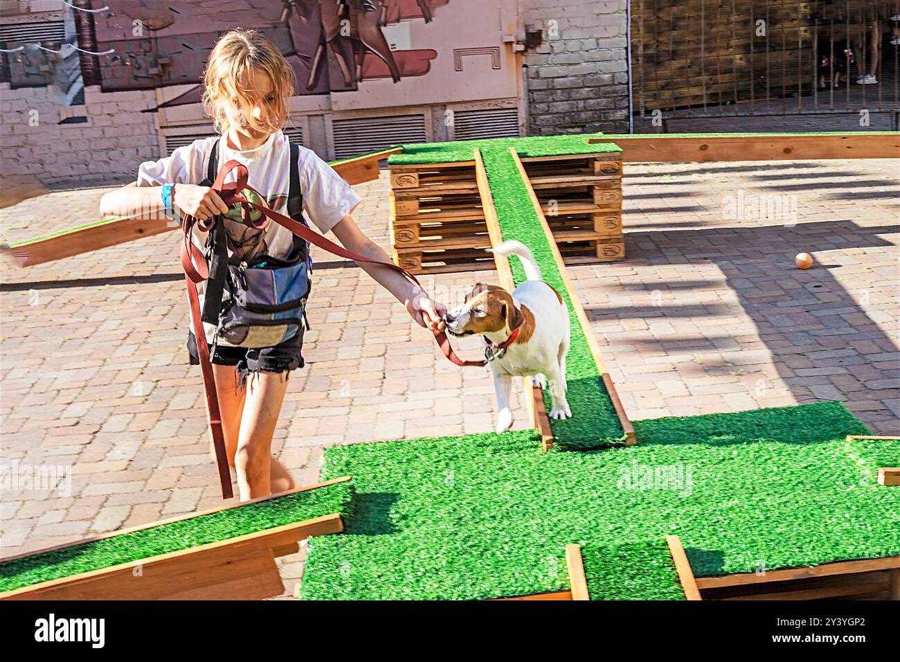 Une fille entraîne un chiot Jack Russell Terrier adulte sur un terrain d'entraînement par une journée ensoleillée. Agilité Banque D'Images