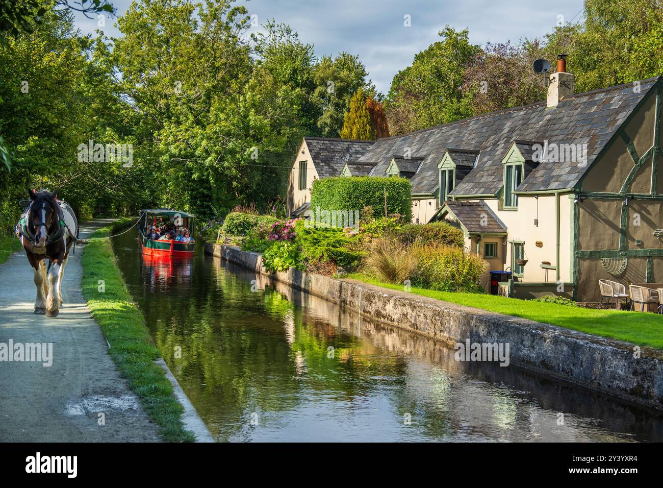 Un cheval transporte doucement un rétrécissement du canal de voyageurs d'une journée le long du canal de Llangollen devant une rangée de cottages isolés. Banque D'Images