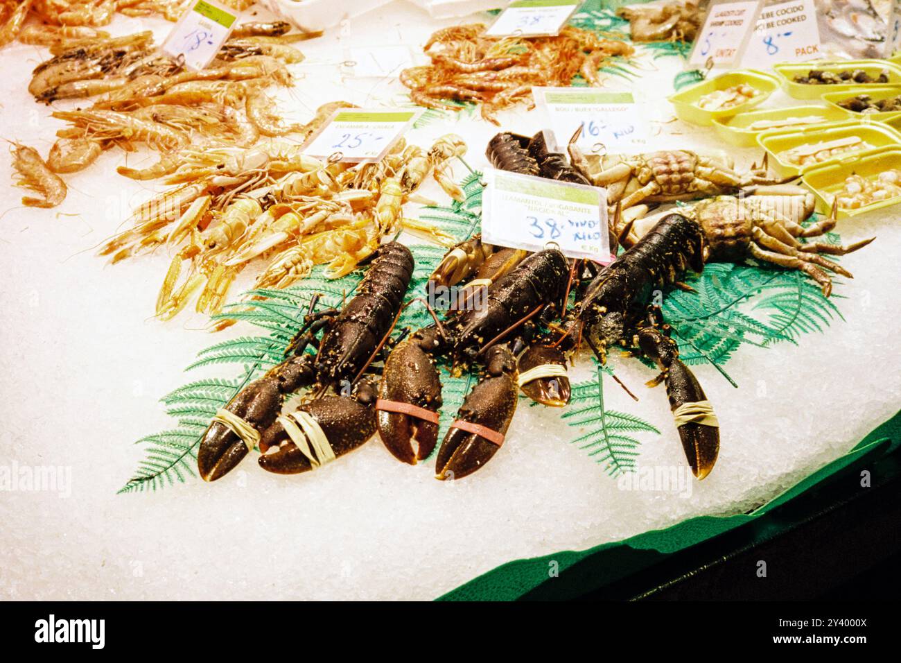 Fruits de mer exposés au Mercat Boqueria Barcelone, Catalogne, Espagne. Banque D'Images