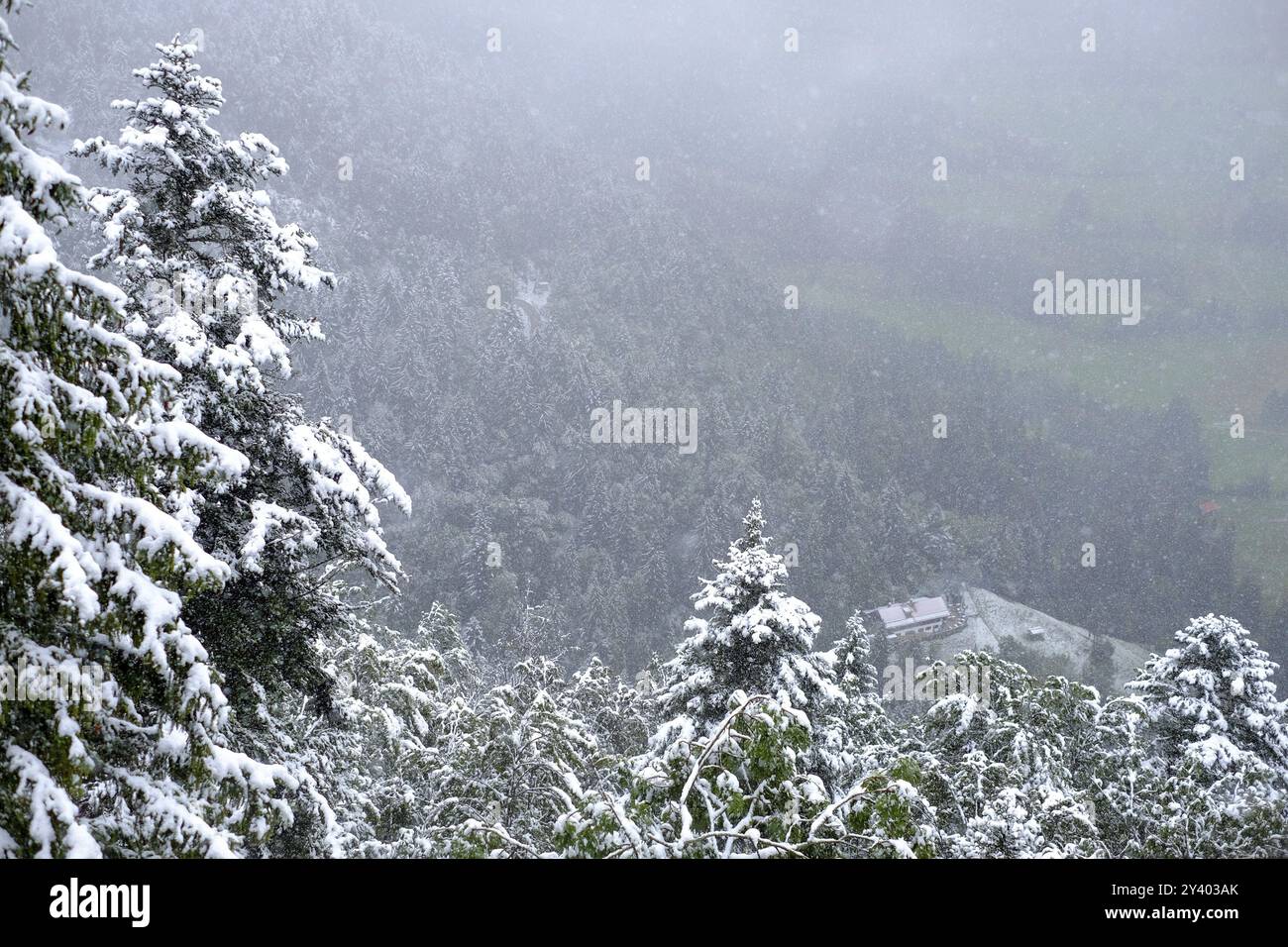 Début de l'hiver, montagnes, arbres, enneigé, chutes de neige, panorama, forêt, vue d'en haut, paysage, épicéas, septembre, été, Isarwinkel, Reiseral Banque D'Images