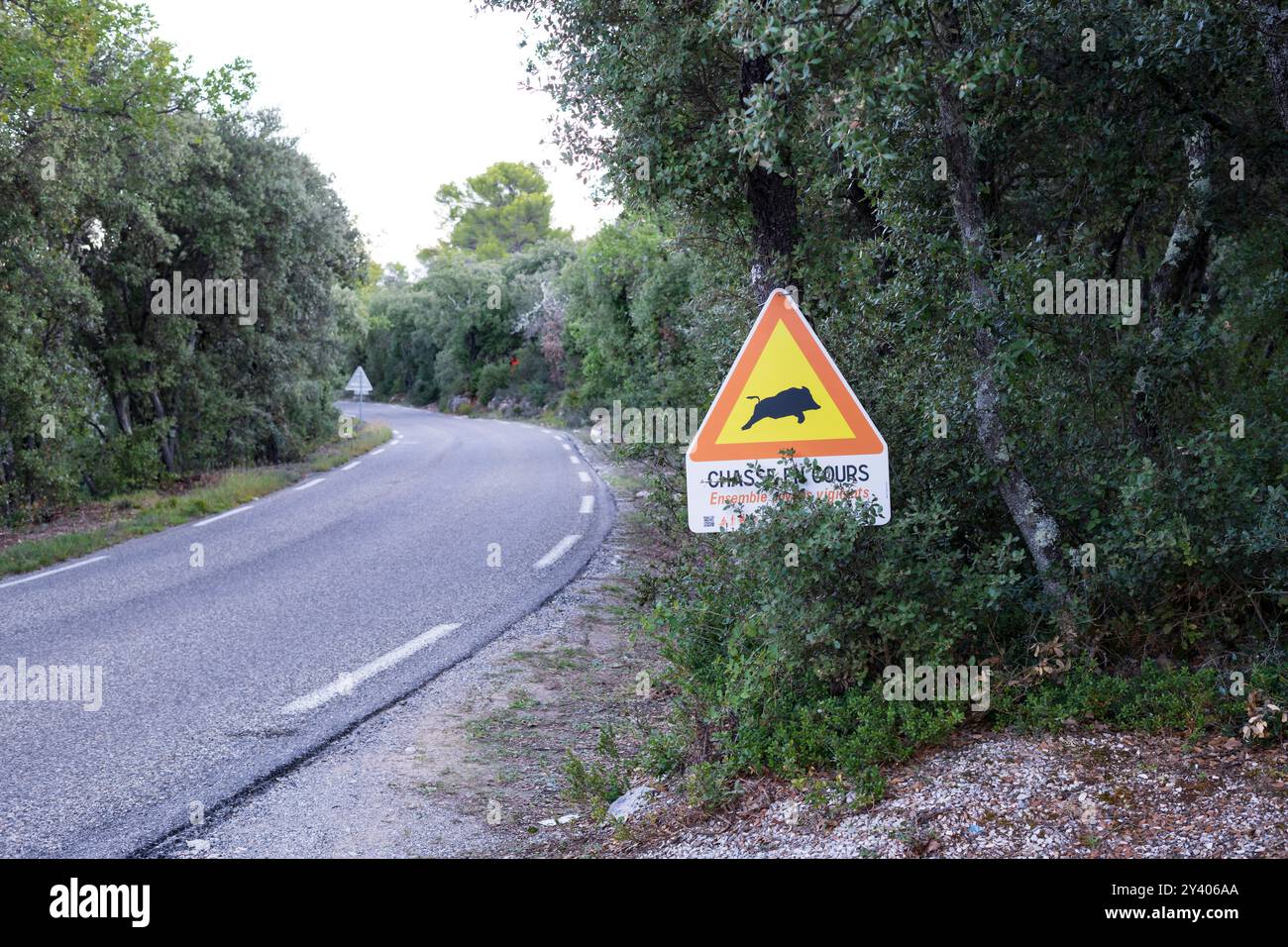 Un panneau d'avertissement triangulaire représentant un sanglier près d'une route forestière dans le Verdon, France, indiquant une activité de chasse en cours pour sensibiliser le conducteur. Banque D'Images