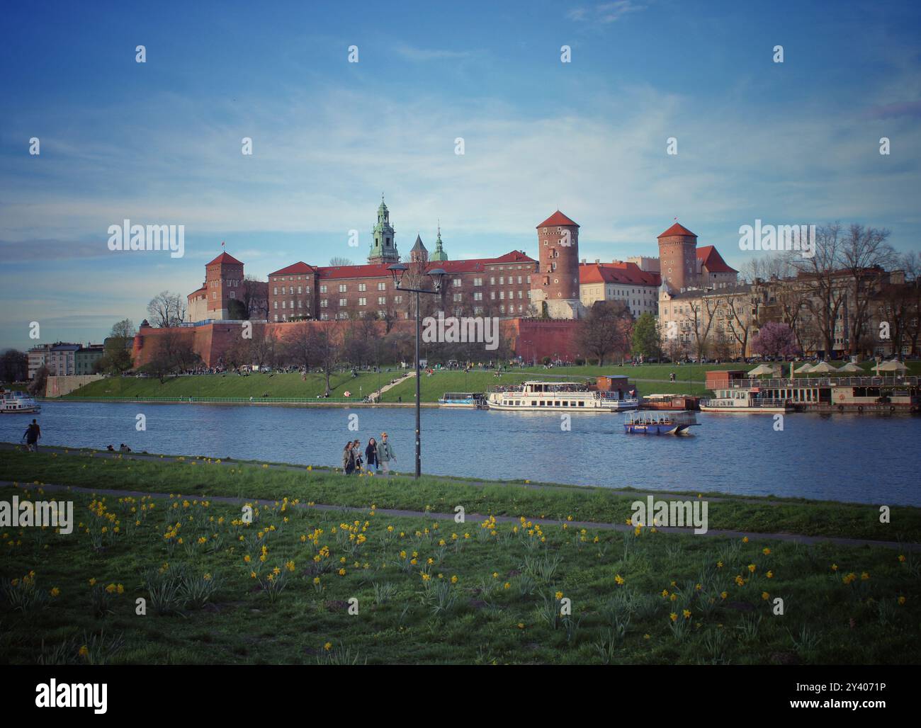 Château de Wawel à Cracovie Banque D'Images