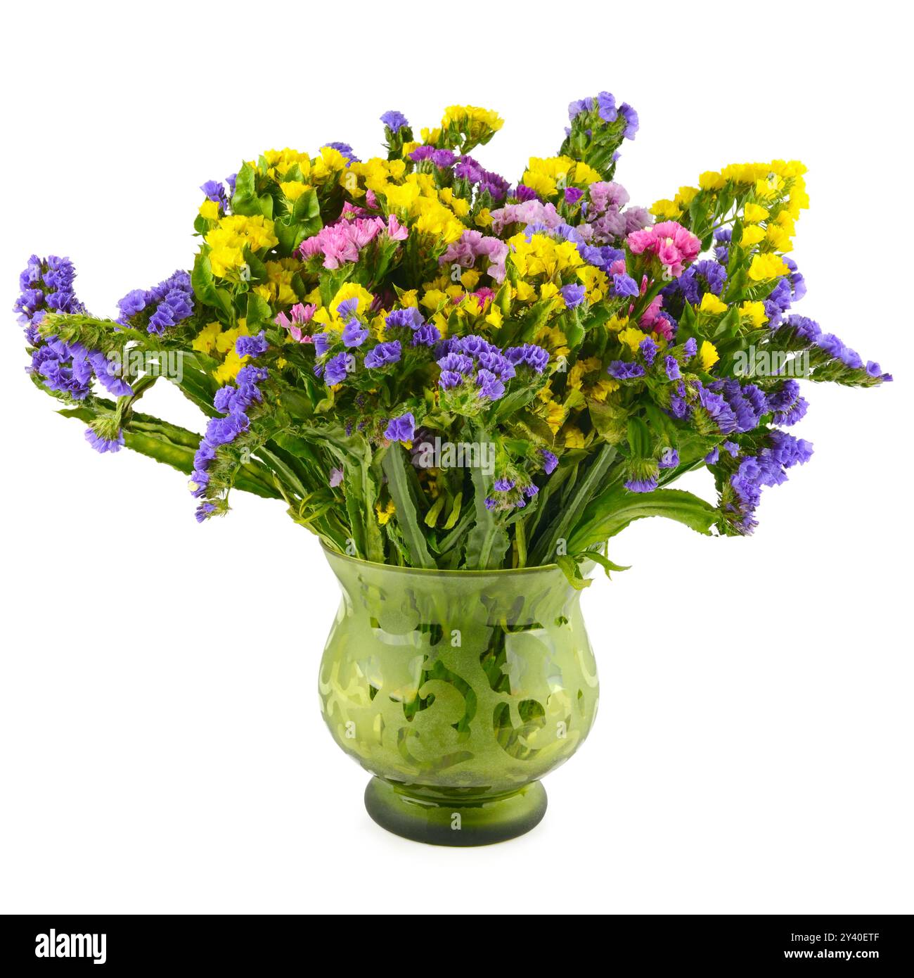 Bouquet de fleurs d'immortelle dans un vase isolé sur fond blanc. Banque D'Images