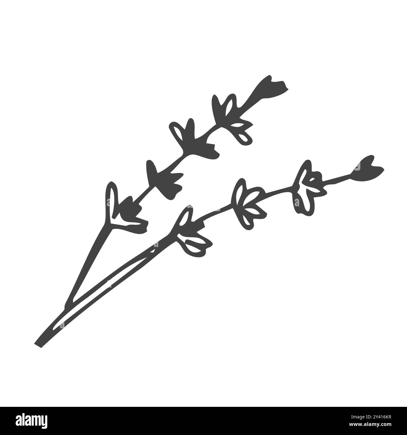 Bouquet de lavande avec des contours monochromes, illustration vectorielle d'esquisse isolée sur fond blanc. Doodle dessiné à la main de l'élément botanique. Élégant bouq Illustration de Vecteur