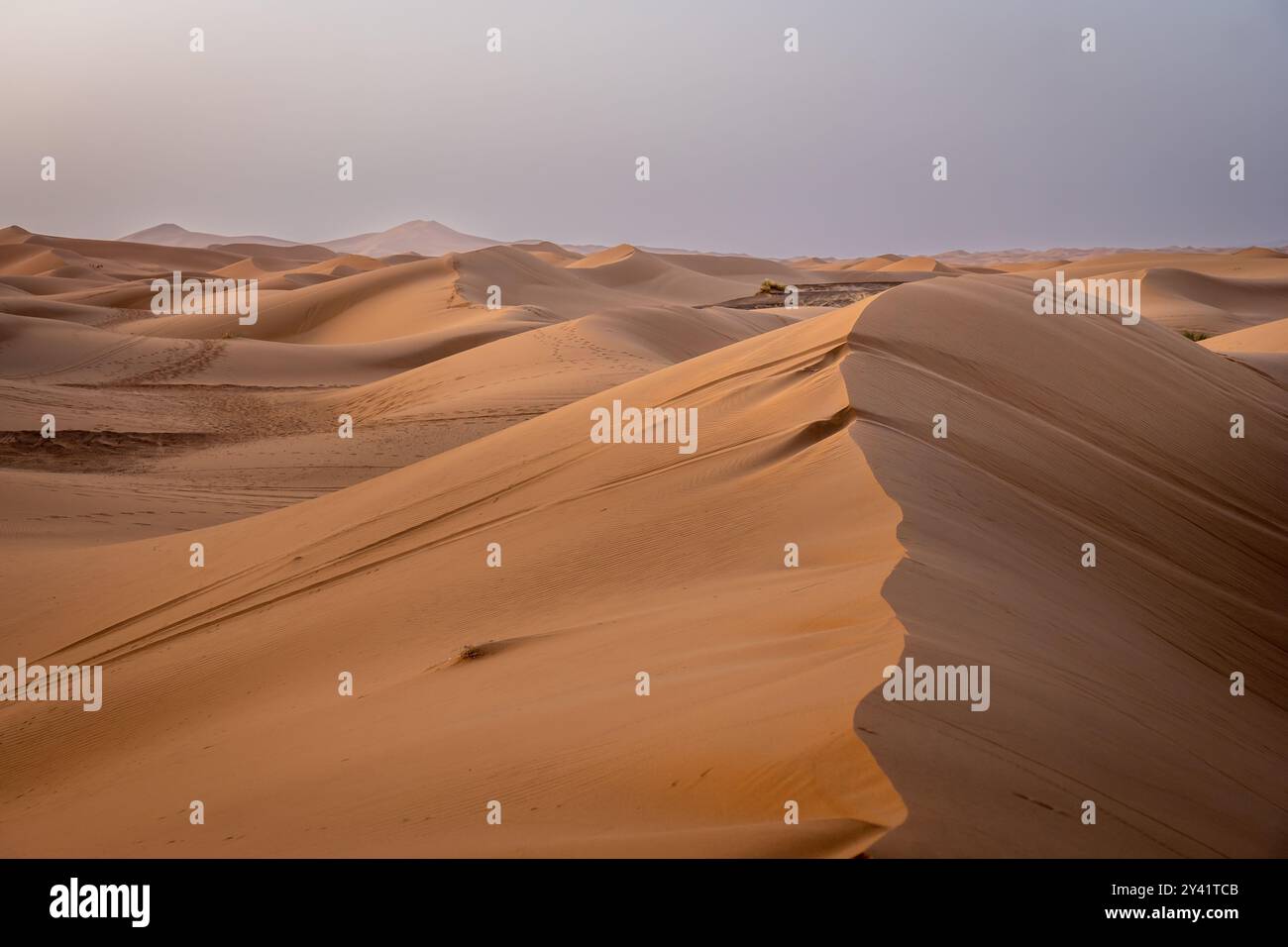 Dunes ERG Chebbi au lever du soleil avec une lumière rude Banque D'Images