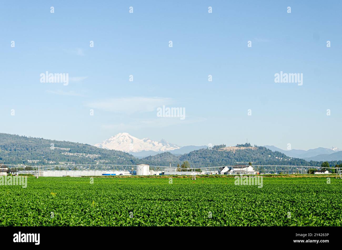 Fermes agricoles à Mission, vallée du Fraser, Colombie-Britannique, Canada Banque D'Images
