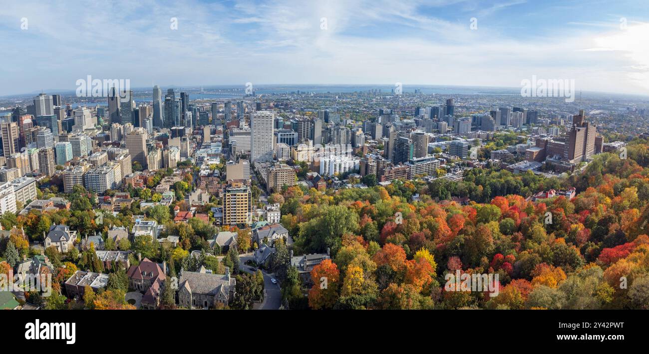 Vue aérienne du panorama du centre-ville de Montréal en automne par jour ensoleillé. Mont-Royal, Montréal, Québec, Canada. Banque D'Images