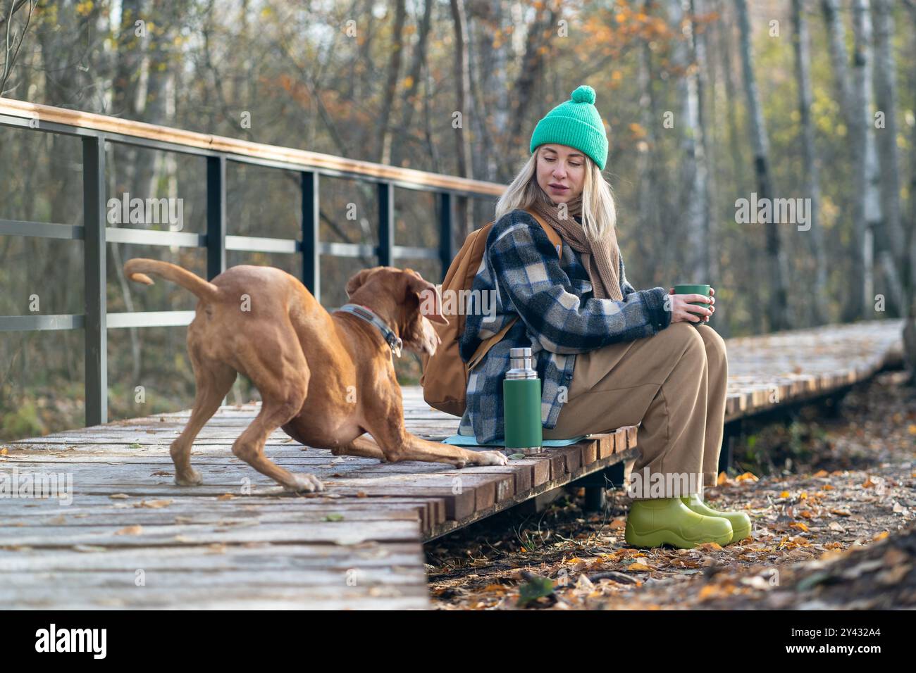 Grand chien de chasse ludique nécessitant l'attention du propriétaire femelle fatigué en s'engageant dans le jeu amusant. Banque D'Images