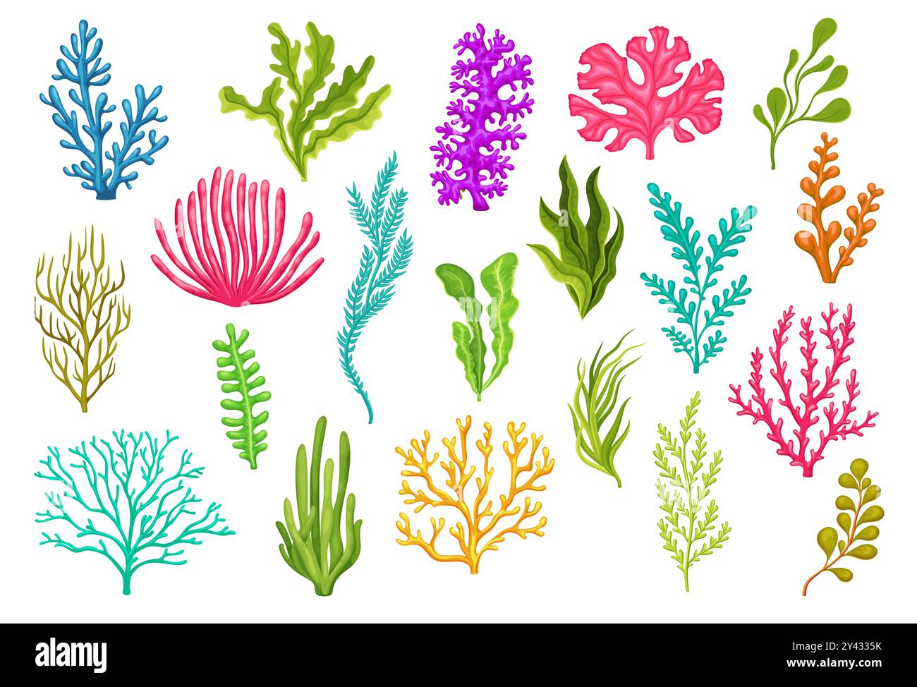 Dessins animés algues sous-marines marines plantes d'algues marines. Ensemble vecteur isolé d'aquarium, récif corallien faune nature biodiversité. Vie marine et marine, mauvaises herbes et épaves, laminaires, varech, flore marine Illustration de Vecteur