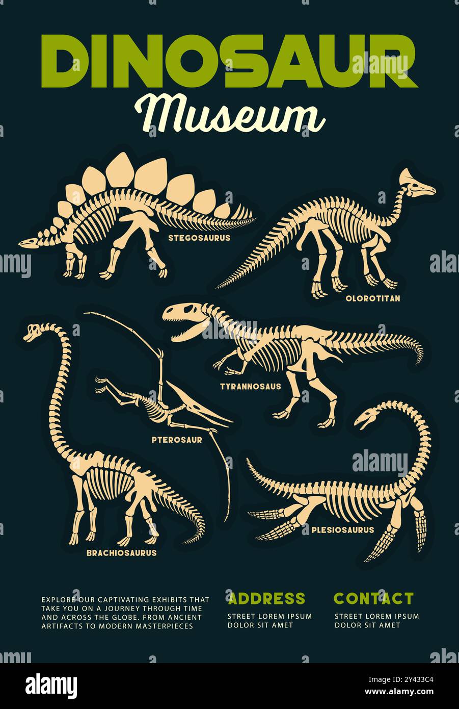 Affiche du musée des dinosaures avec fossiles de dinosaures préhistoriques et squelettes des espèces Stegosaurus, Brachiosaurus, Pterodactyl et Tyrannosaurus. Vector vintage Flyer invite à explorer des créatures anciennes Illustration de Vecteur