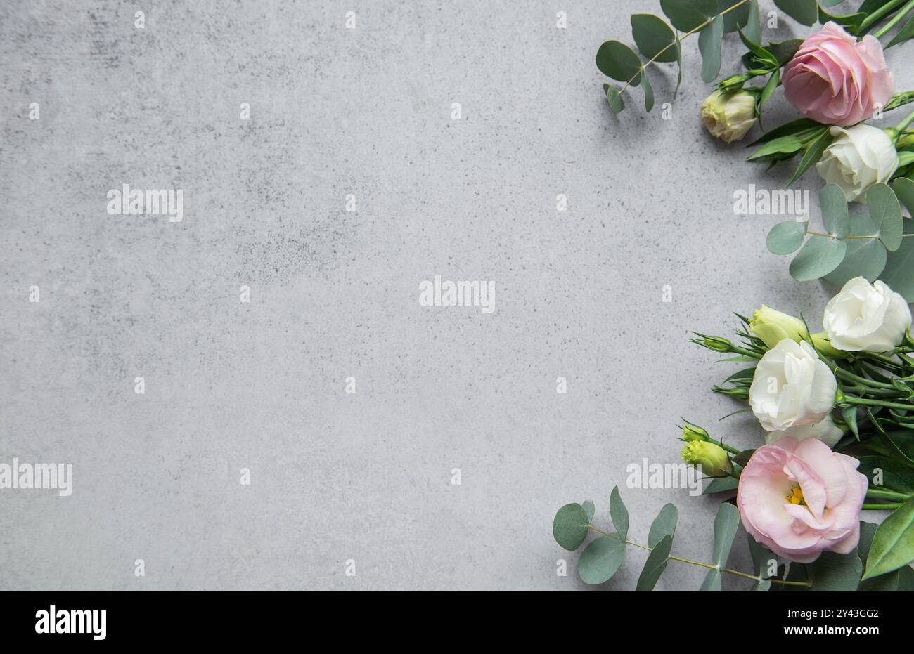 Un bel assortiment de fleurs roses, blanches et crème sont habilement arrangées avec des feuilles d'eucalyptus, créant une composition élégante parfaite pour flo Banque D'Images