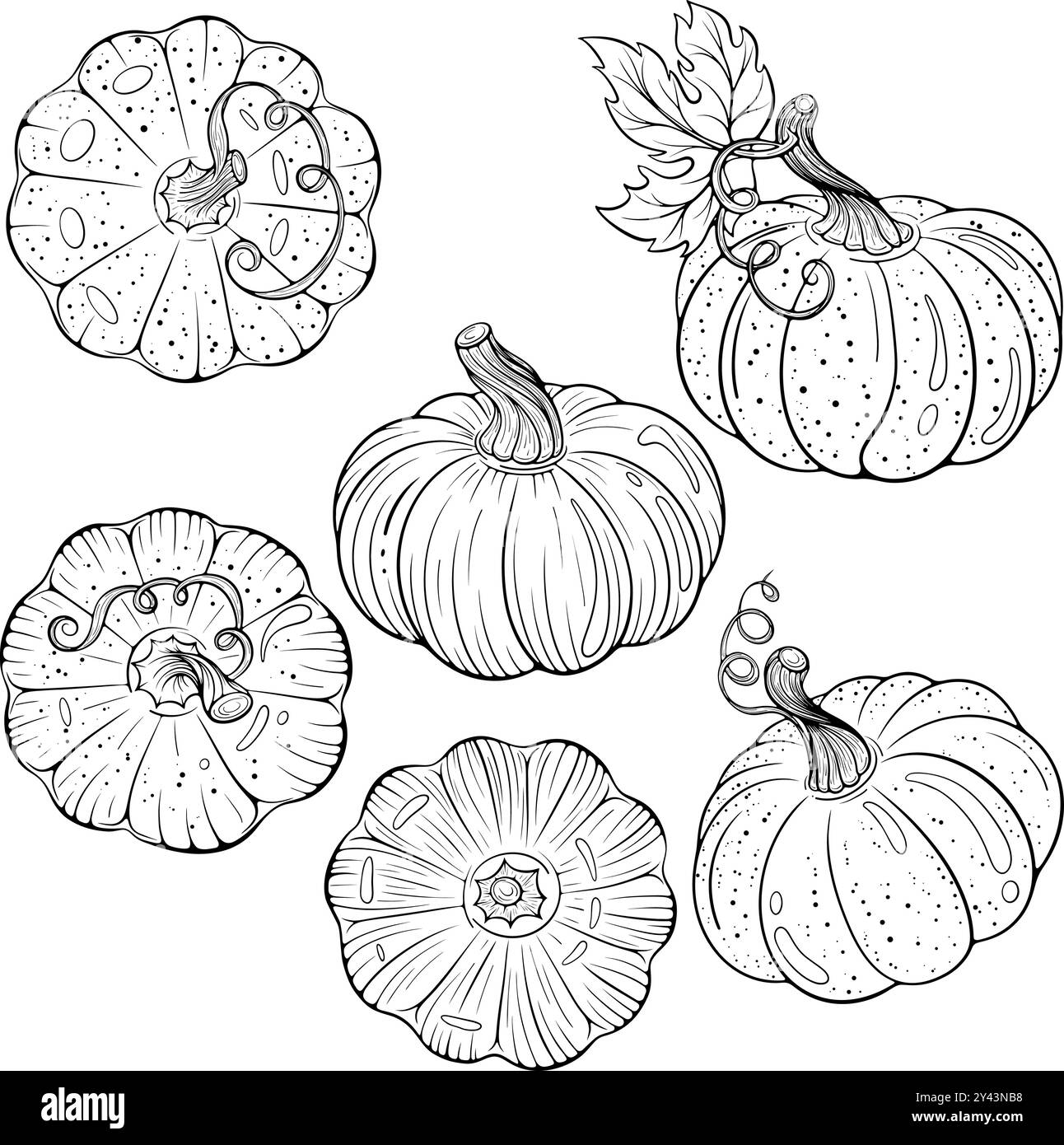 Ensemble d'art au trait de citrouilles Illustration de Vecteur