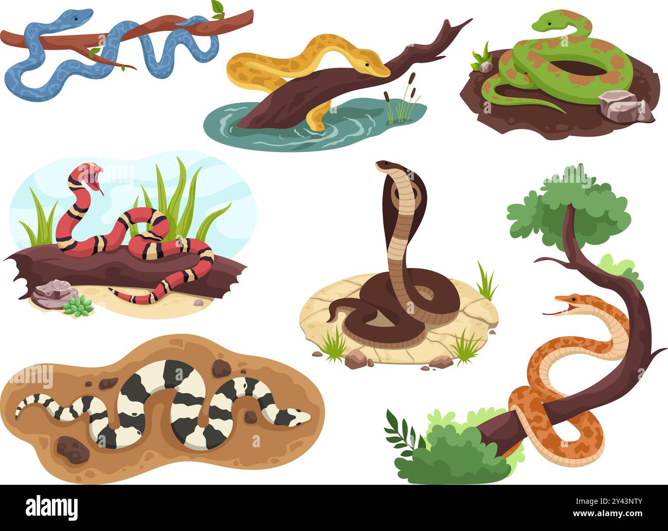 Habitat des serpents. Serpent sur la branche d'arbre ou dans l'eau nature sauvage, reptile exotique serpent tropical jungle danger créature anaconda python vipère toxique, ingénieuse illustration vectorielle illustration original Illustration de Vecteur