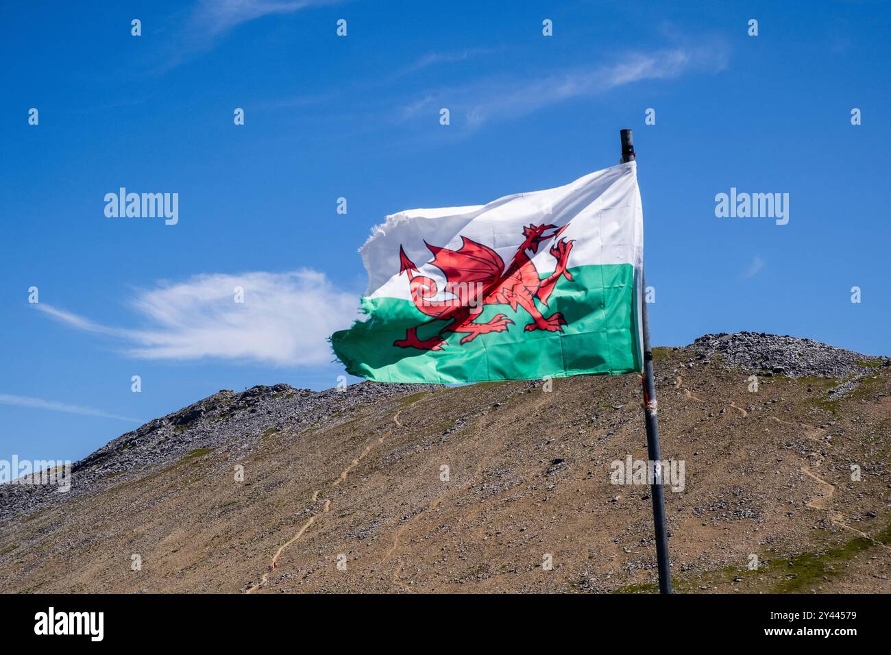 Drapeau de dragon gallois volant avec la montagne Elidir Fawr derrière dans le parc national de Snowdonia. Llanberis, Gwynedd, pays de Galles, Royaume-Uni, Grande-Bretagne Banque D'Images