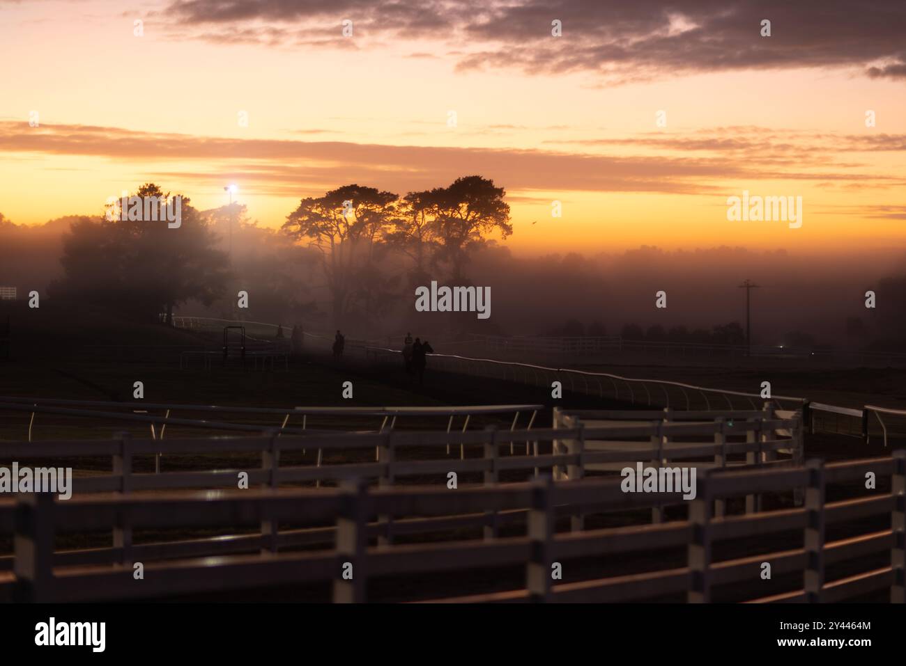 Hippodrome brumeux au lever du soleil avec silhouette de chevaux et d'arbres Banque D'Images