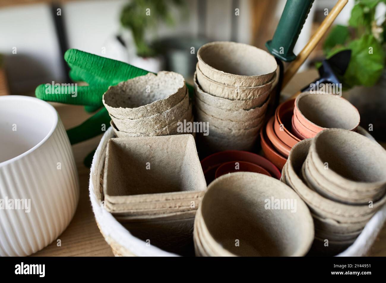 Divers pots sur table en studio. Banque D'Images