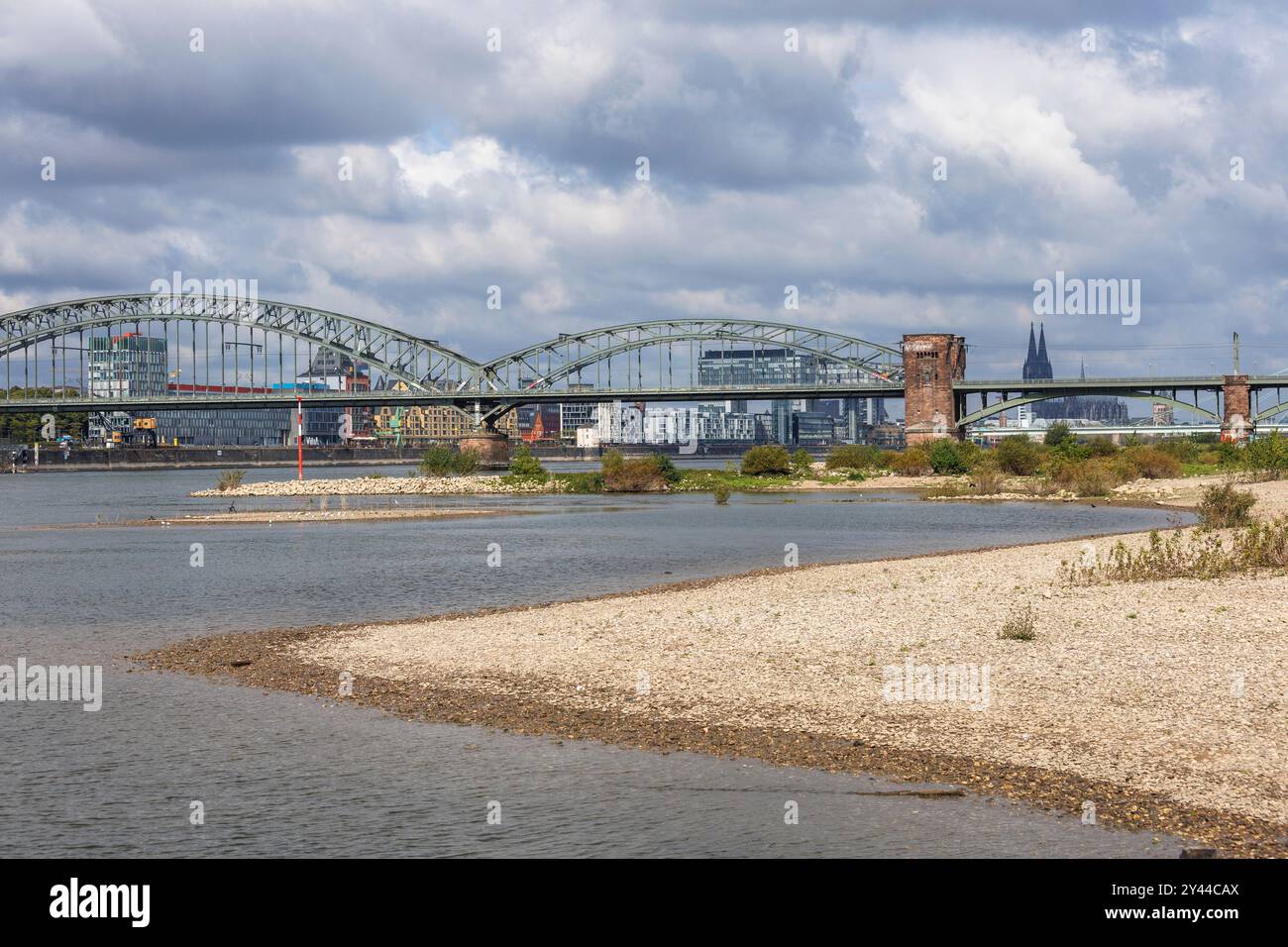 Niveau du Rhin le 13 septembre 2024 à 247 cm, rives du Rhin à Cologne-Poll, vue sur le pont Sud, en arrière-plan le port de Rheinau Banque D'Images