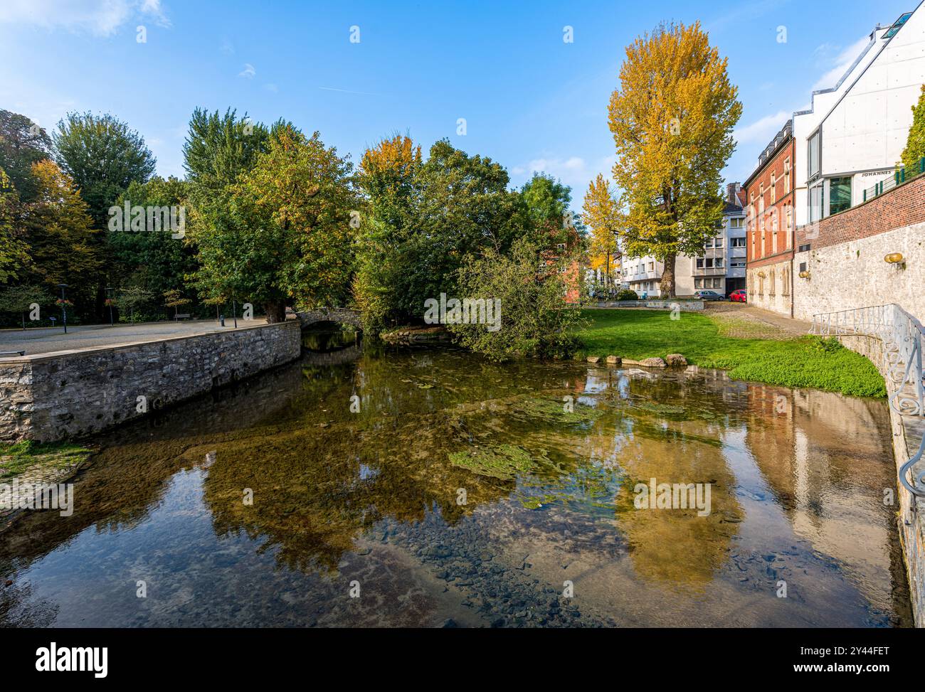 Sources de la rivière Pader dans la ville de Paderborn, région d'Ostwestfalen-Lippe, Rhénanie du Nord-Westphalie, Allemagne, Europe Banque D'Images