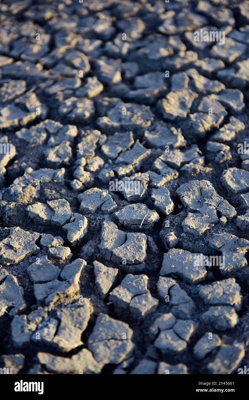 Motif de sol fissuré dans le désert, la Pampa, Argentine Banque D'Images