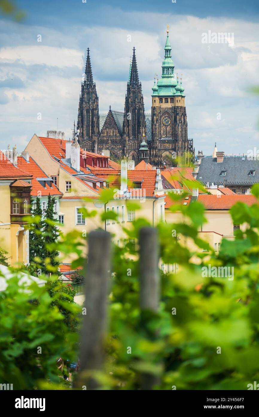 Vue sur les gratte-ciel de Prague et la cathédrale Vitus depuis le Grand Classic Panorama Banque D'Images