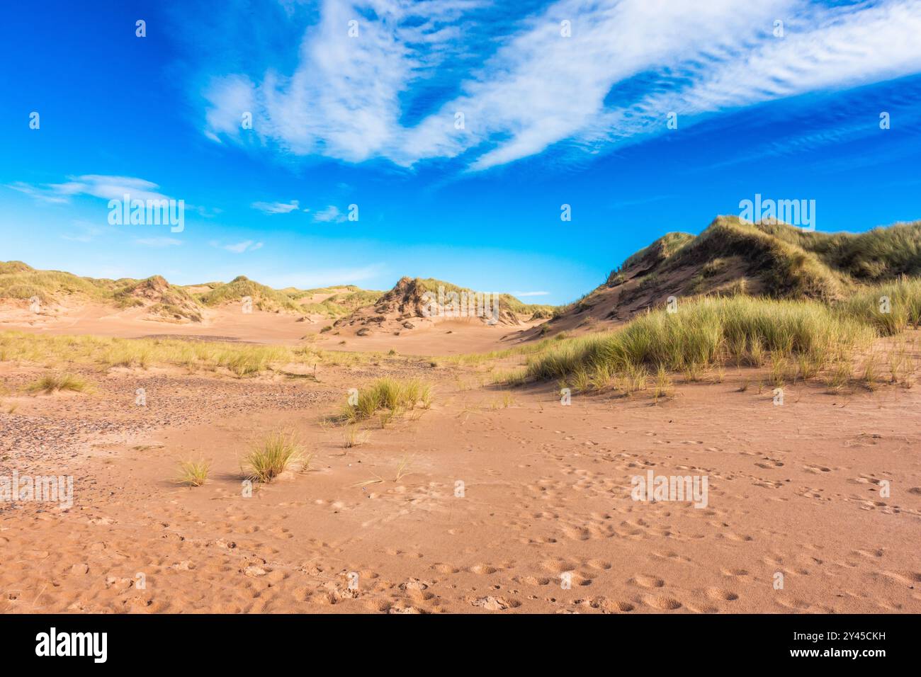 Dunes de sable à Forvie nature Reeserve près de Newburgh Beach dans l'Aberdeenshire, en Écosse Banque D'Images