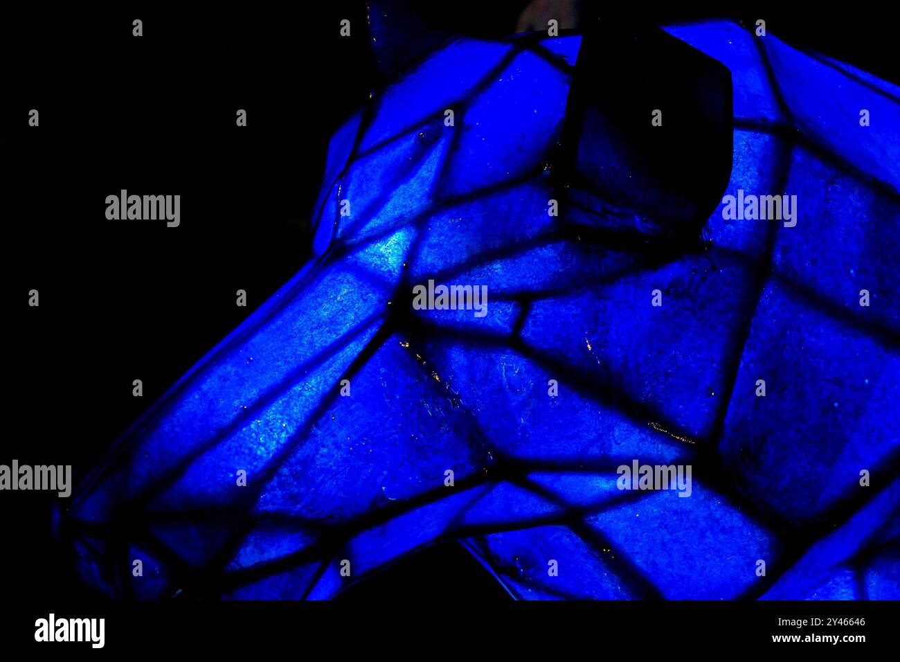 Une vue rapprochée d'un objet bleu placé sur un fond sombre, créant un contraste saisissant qui souligne sa teinte vibrante Banque D'Images Une vue rapprochée d'un objet bleu placé sur un fond sombre, créant un contraste saisissant qui souligne sa teinte vibrante Banque D'Images