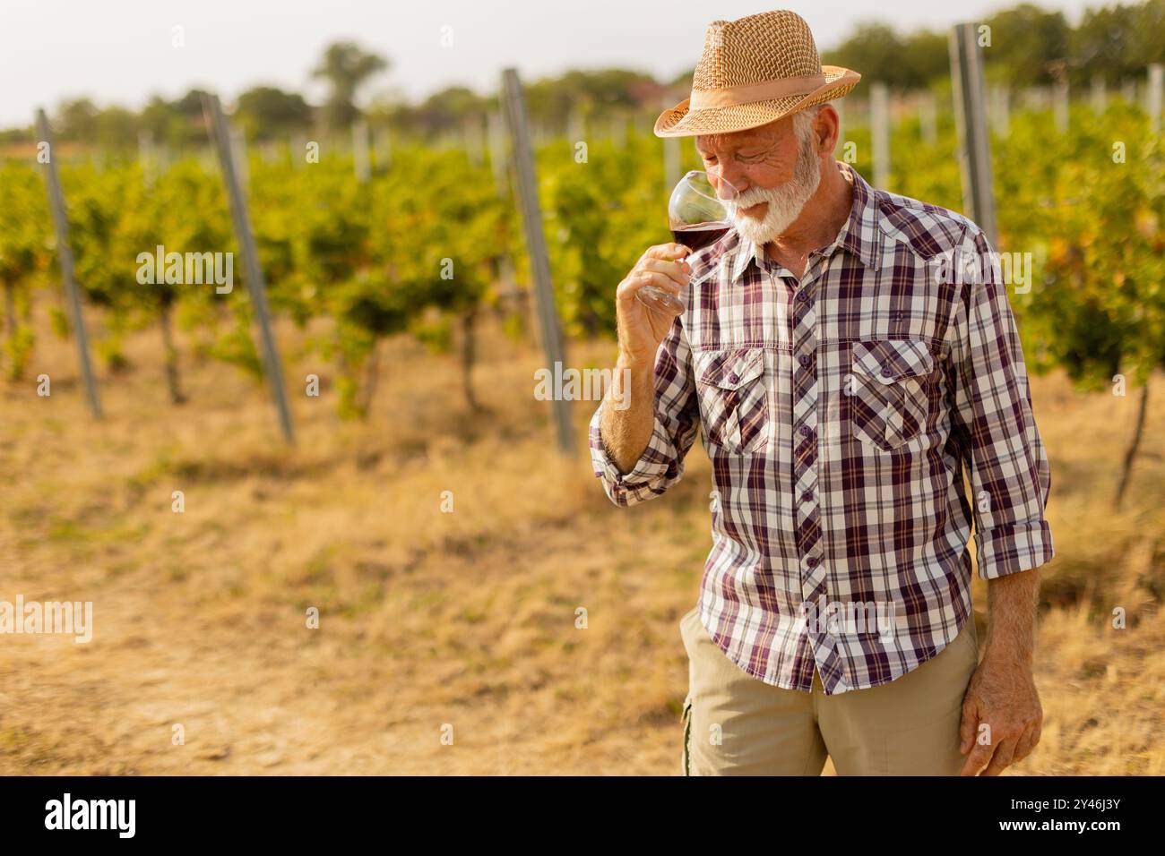 Dans la lueur dorée du coucher du soleil, un homme âgé dans un chapeau de paille profite d'un verre de vin rouge, immergé dans la beauté tranquille de son vignoble tentaculaire, réf Banque D'Images