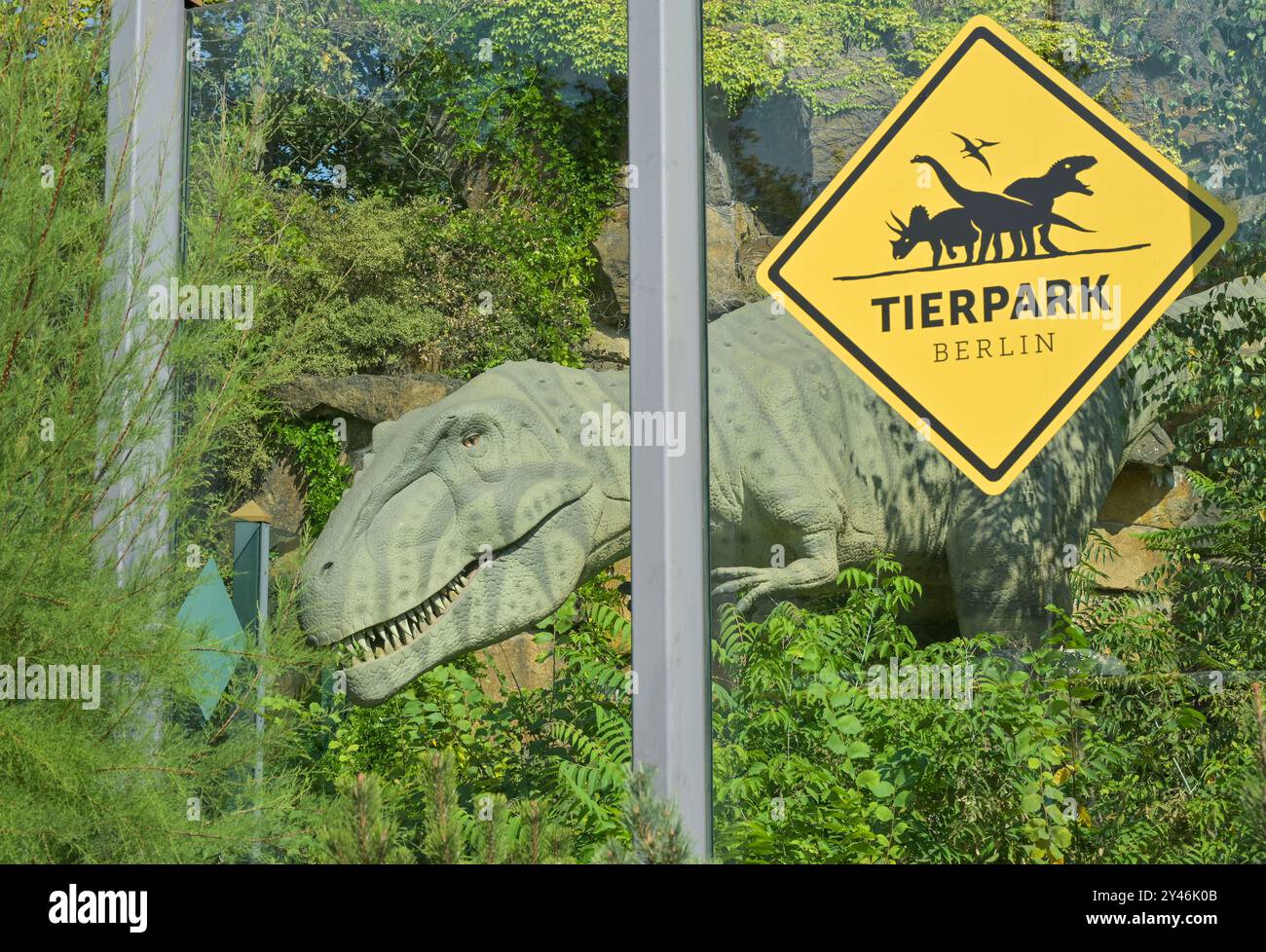 T-Rex, Bärenschaufenster, Eingang Tierpark Friedrichsfelde, Lichtenberg, Berlin, Deutschland *** T Rex, vitrine d'ours, entrée au zoo de Friedrichsfelde, Lichtenberg, Berlin, Allemagne Banque D'Images