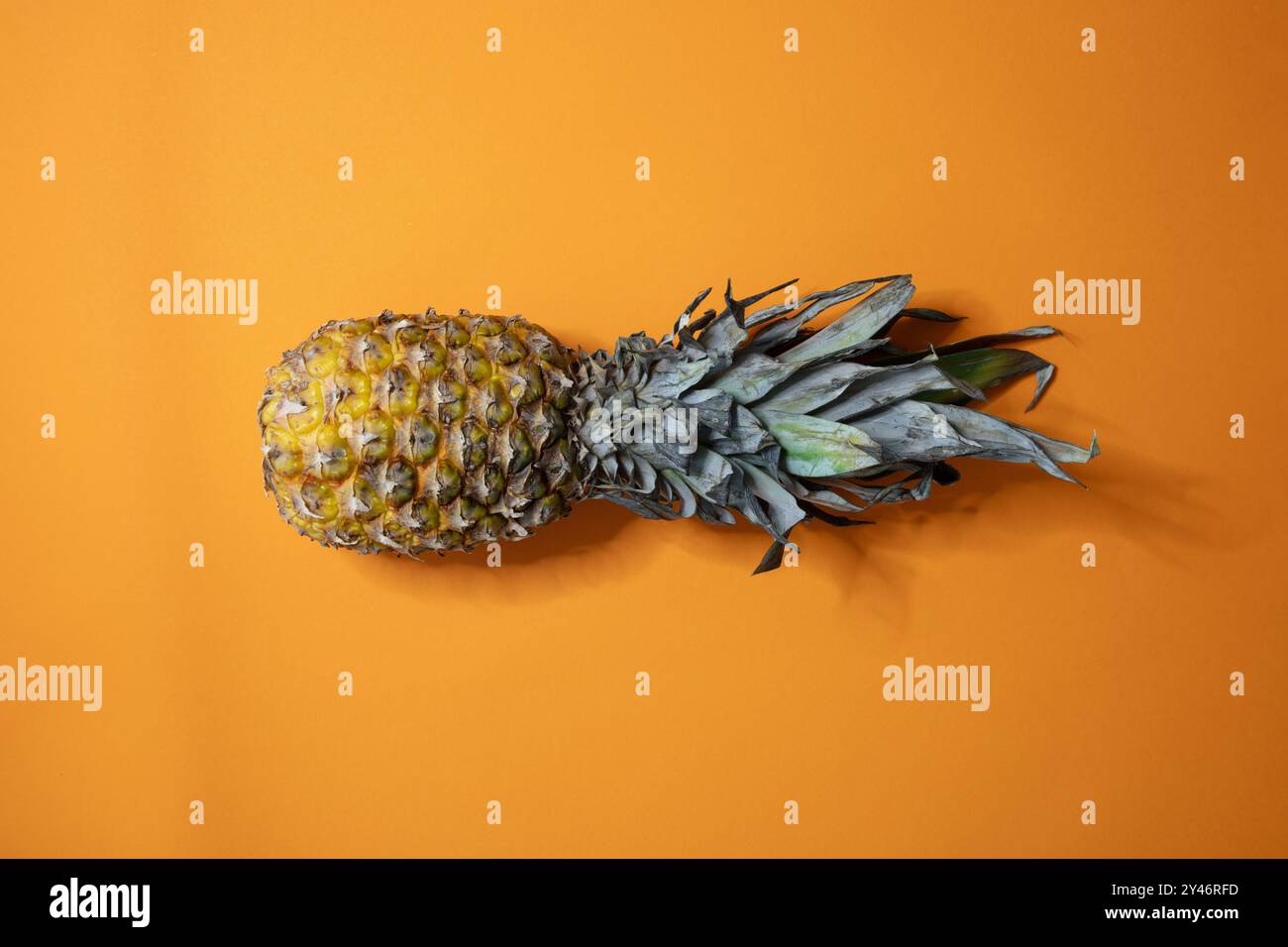 une belle photo du fruit de l'ananas a, sur un fond uni et coloré, prise de vue studio, vue de dessus Banque D'Images