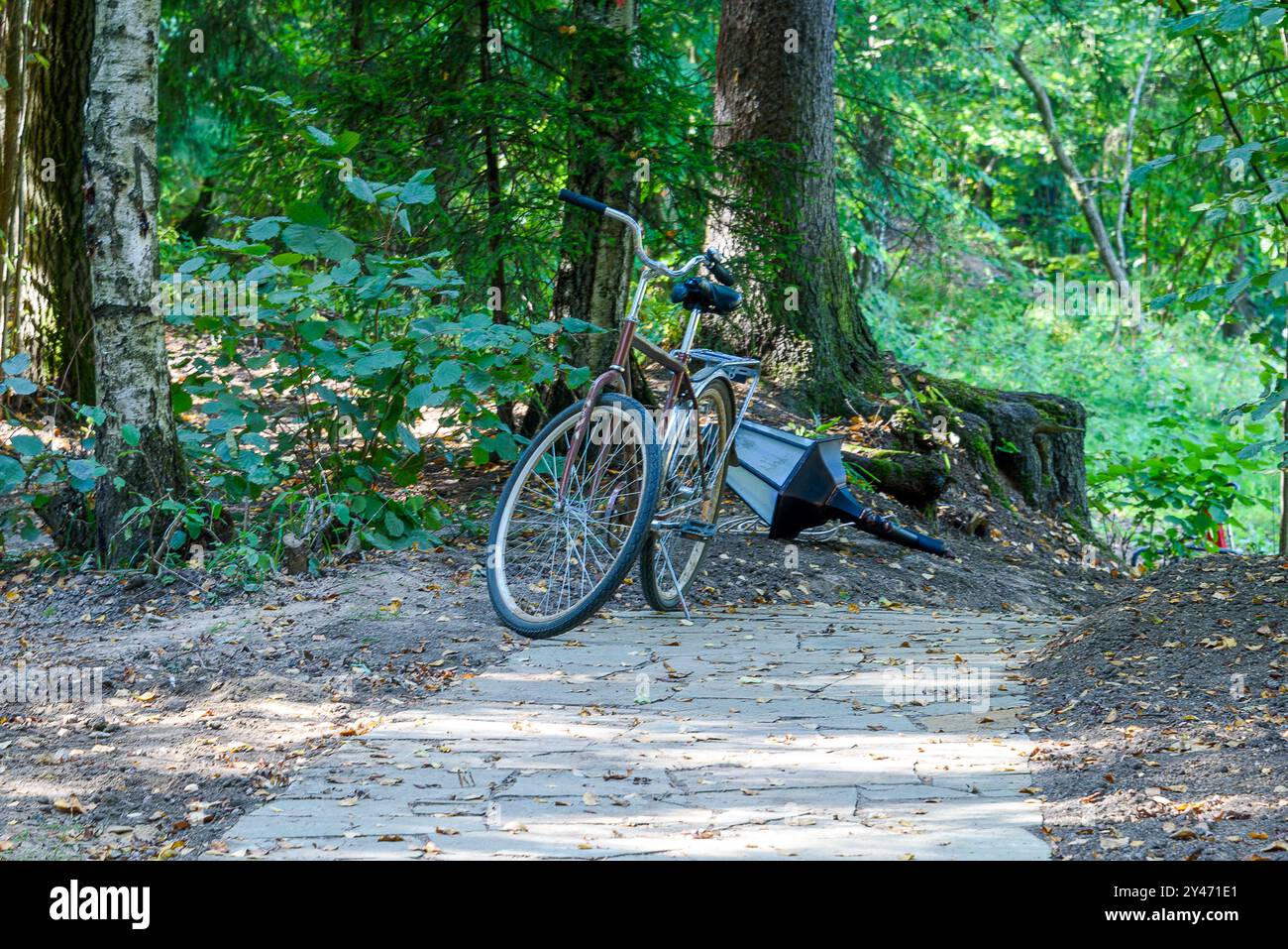 Sentier de randonnée écologique fait de pavés et un vélo sur le chemin. Promenez-vous dans le parc. Banque D'Images