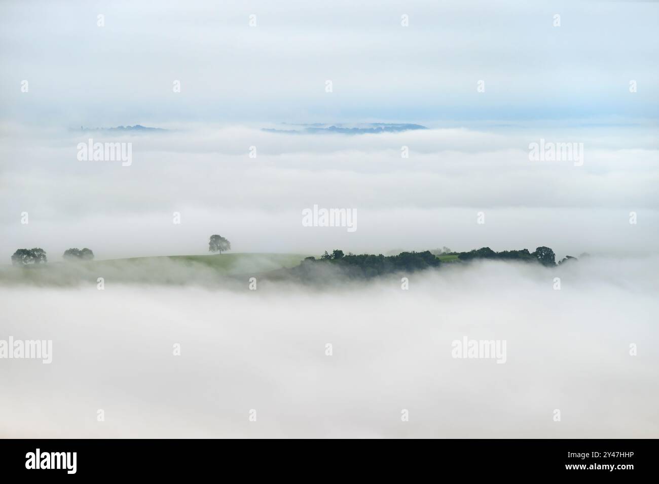 Une lourde brume matinale tôt le matin sur les niveaux du Somerset, comme on le voit depuis les collines de Mendip, Somerset, Royaume-Uni avec quelques arbres qui commencent juste à percer Banque D'Images