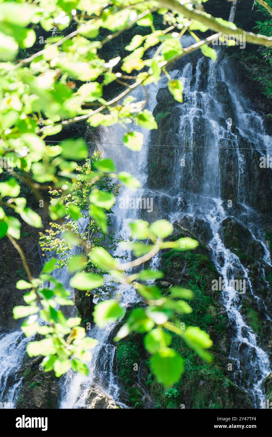 Pittoresque chute d'eau de Xalxal dans le centre de loisirs. Oguz, Azerbaïdjan. 21.08.2024 Banque D'Images