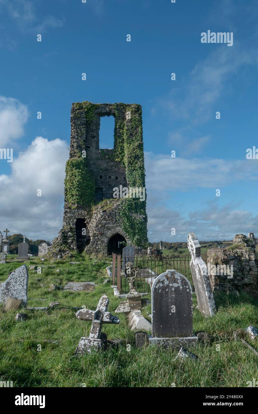 Ruines de l'abbaye à Ardmulchan County Meath Ireland Banque D'Images