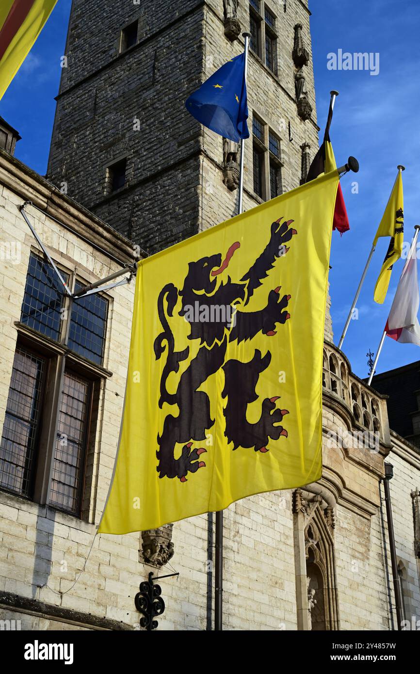 Drapeau de la Flandre en image miroir Banque D'Images