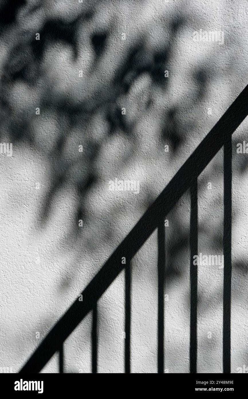 Rampe métallique et ombres projetées sur un mur par des branches d'arbres Banque D'Images