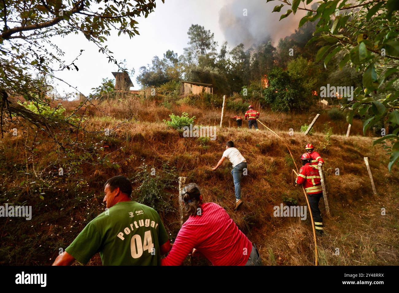 Sever do Vouga, Portugal. 16 septembre 2024. Les villageois et les pompiers combattent un feu de forêt à Busturenga. Les villageois et les pompiers combattent un feu de forêt à Busturenga, Sever do Vouga. Plus de 1 000 pompiers ont combattu un incendie de forêt dans le nord du Portugal alors que les responsables avertissaient que des milliers d'hectares étaient menacés par la flambée des températures dans tout le pays. 3 personnes ont été confirmées mortes lors des incendies au Portugal près de Sever de Vouga. (Photo de Diogo Baptista/SOPA images/SIPA USA) crédit : SIPA USA/Alamy Live News Banque D'Images