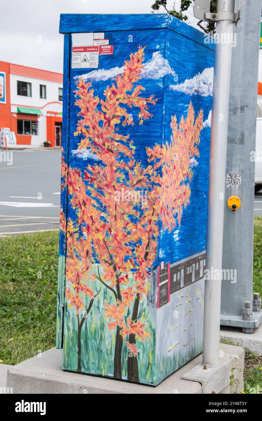 Peinture murale orangers sur le boîtier de contrôle de la circulation électrique à conception Bay South, Terre-Neuve-et-Labrador, Canada Banque D'Images