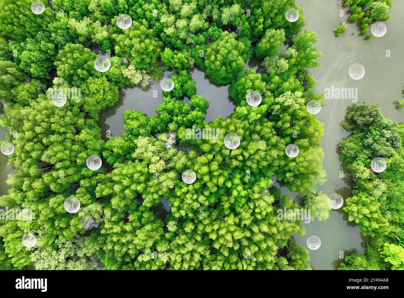 Concept de neutralité carbone. Capture par les arbres verts des émissions de carbone des usines et des transports. Puits de carbone naturels, réduction du CO2, pollution BA Banque D'Images