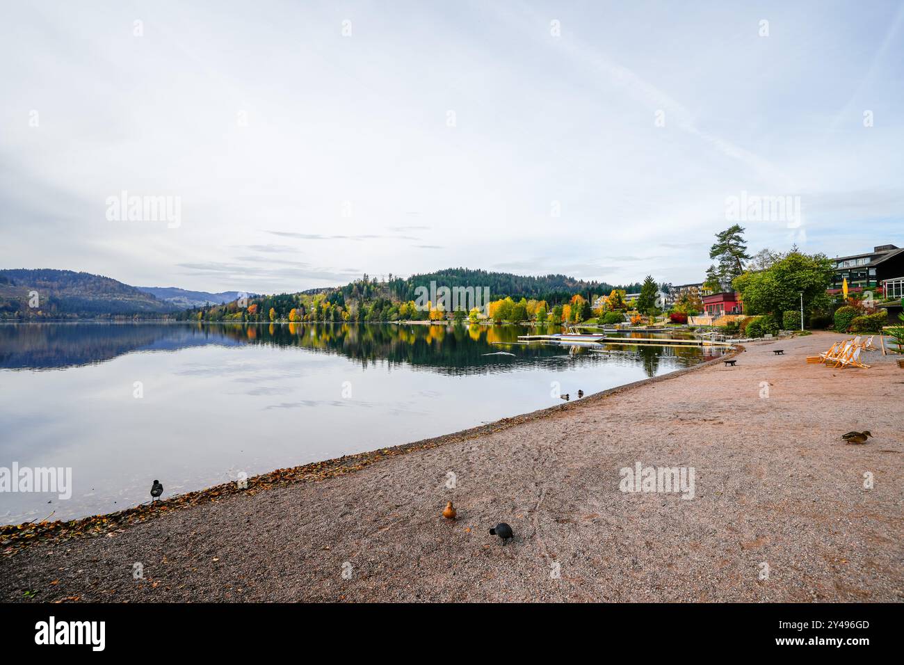 Vue sur le Titisee près de Titisee-Neustadt dans la Forêt Noire et la nature environnante. Paysage au bord du lac en automne. Banque D'Images