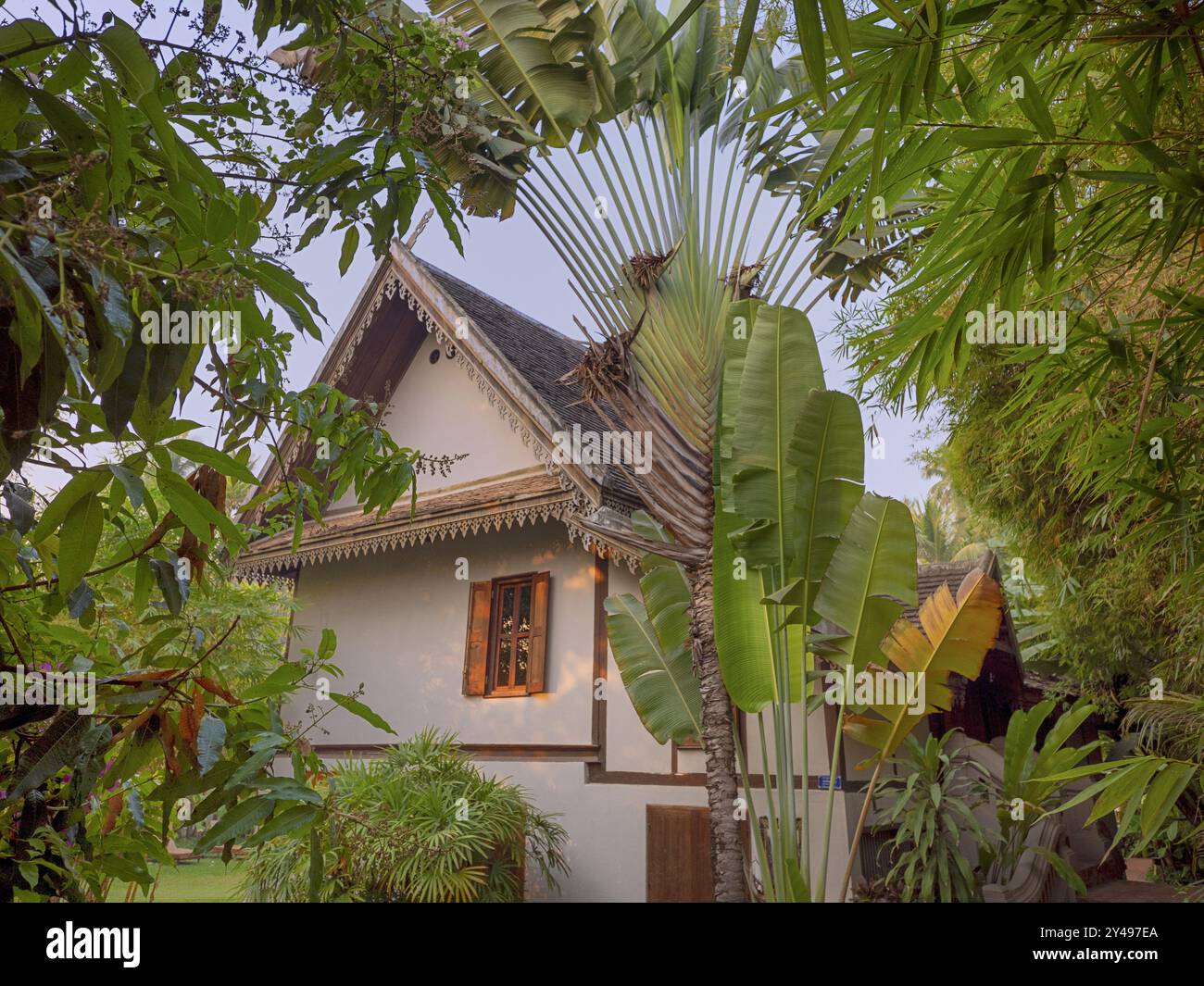 LAOS, LUANG PRABANG, MAISON TRADITIONNELLE, ARBRE DU VOYAGEUR Banque D'Images