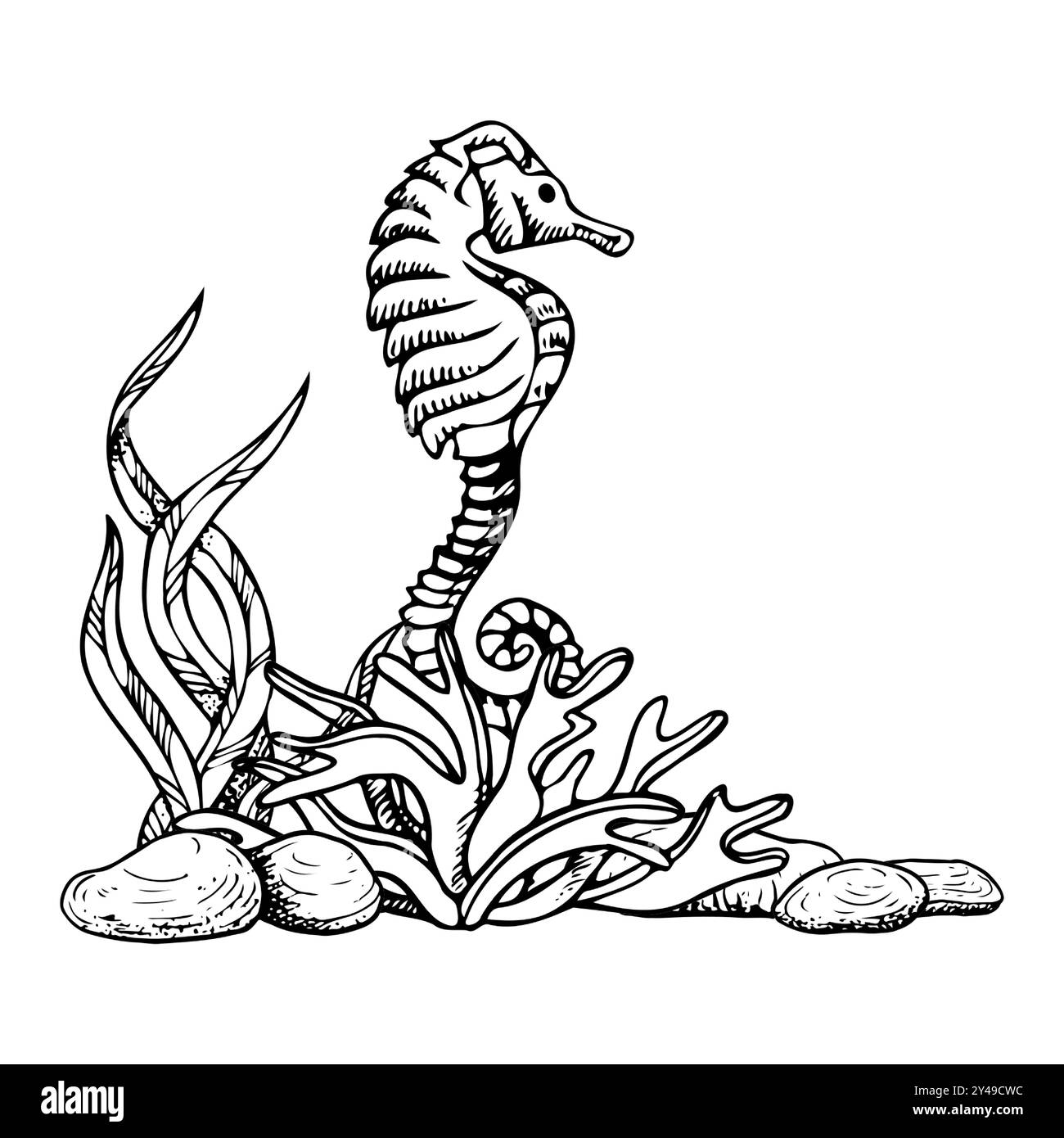 Hippocampe parmi les algues et les pierres des fonds marins Illustration de Vecteur
