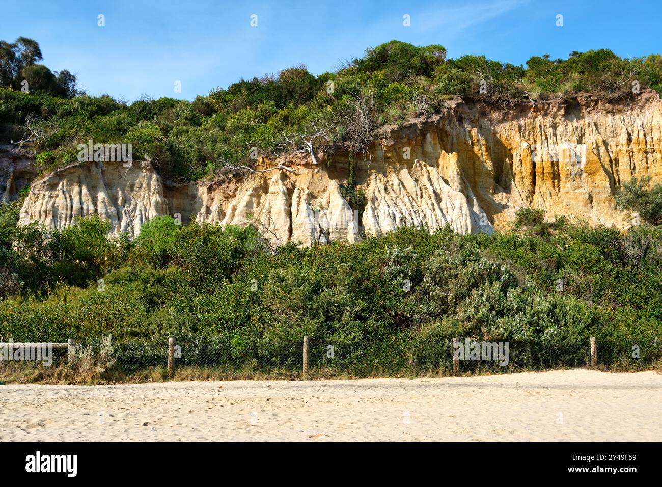 Une falaise de grès dans la structure des dunes le long de Sandringham Beach dans la baie de Port Phillip, Melbourne, Victoria, Australie. Banque D'Images