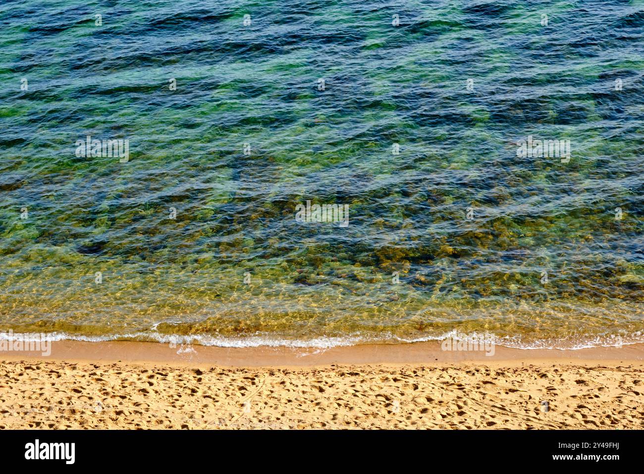 Une vue sur le détail du rivage à Sandringham Beach, Melbourne, Victoria, Australie. Banque D'Images